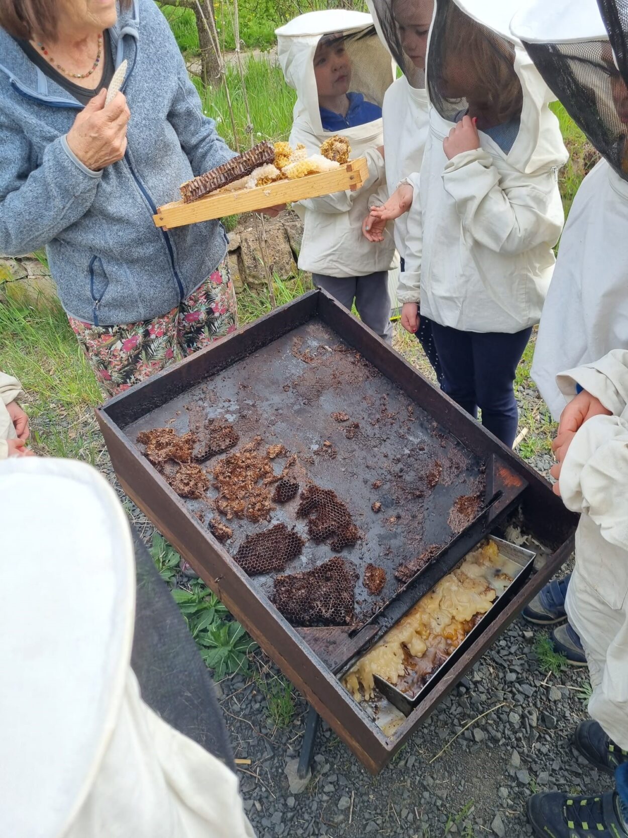 Kindergarten Pusteblume - Bienenprojekt