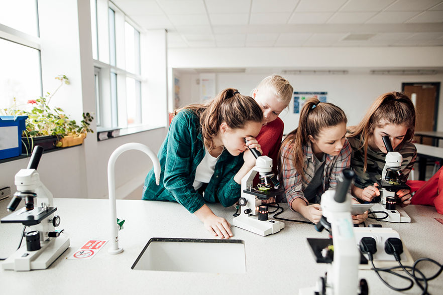 forschung labor schmacher stiftung