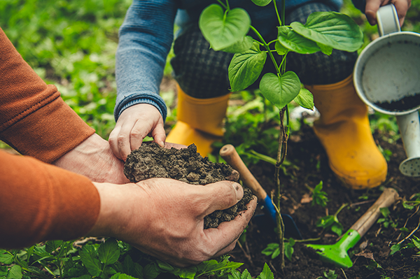 gartenarbeit schumacher stiftung klein